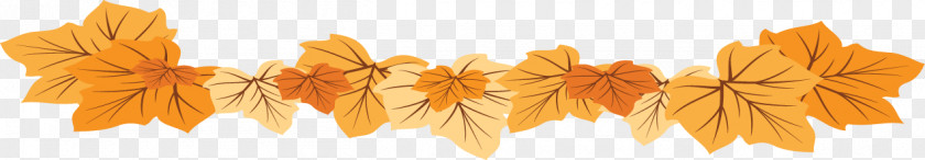 Beautiful Autumn Leaves Petal Deciduous PNG