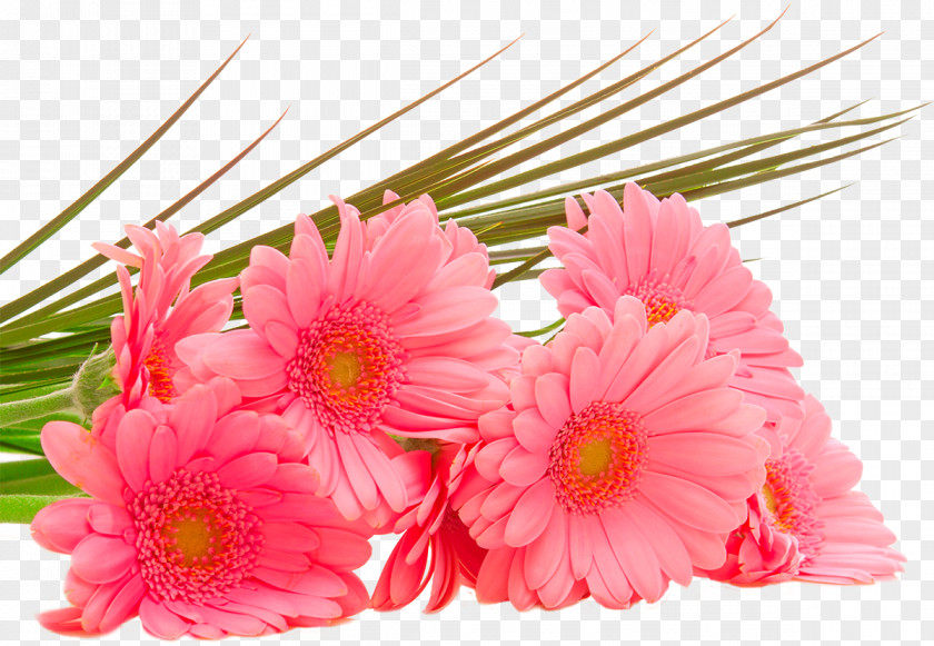 Chrysanthemum Flower Bouquet Desktop Wallpaper Display Resolution High-definition Television PNG