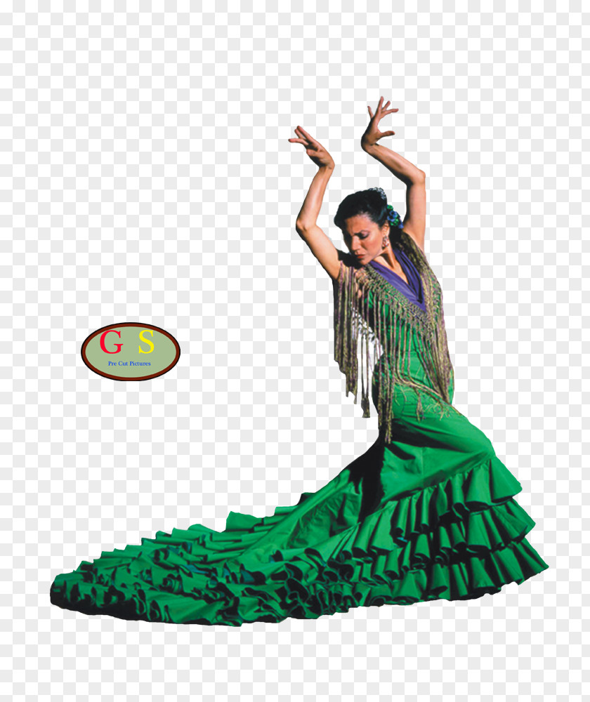Flamenco Dance Rhumba Cha-cha-cha PNG