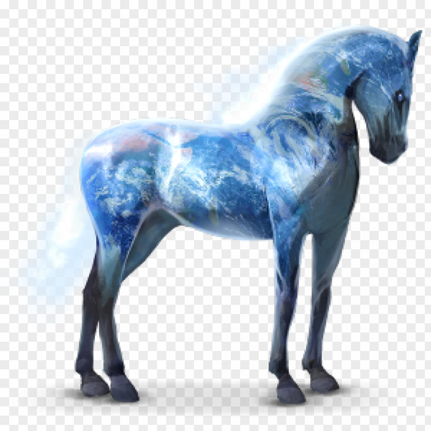 Horse Howrse Breeding Earth Solar System PNG