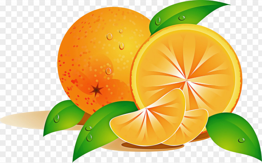 Orange PNG