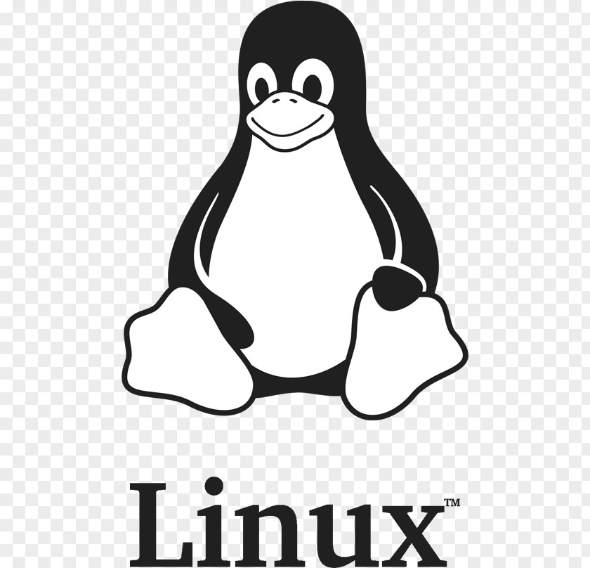Pinguim Linux Computer File Backblaze Retrospect Remote Backup Service PNG