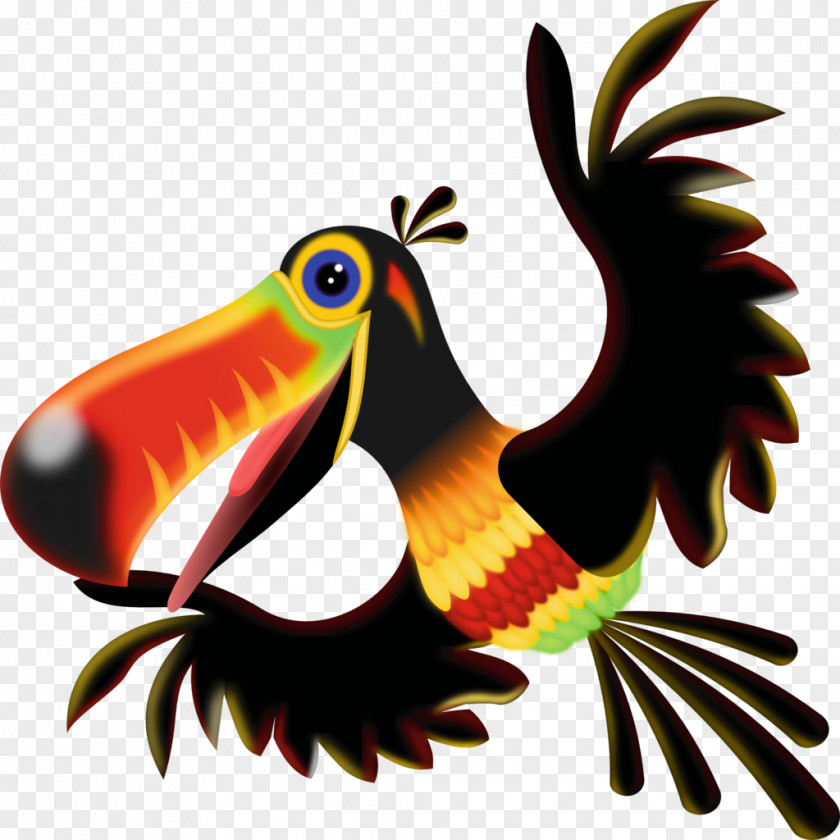 Tucan Toucan Bird Drawing Piciformes PNG