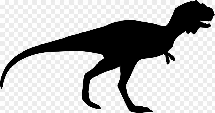 Tyrannosaurus Dinosaur Dilong Majungasaurus PNG