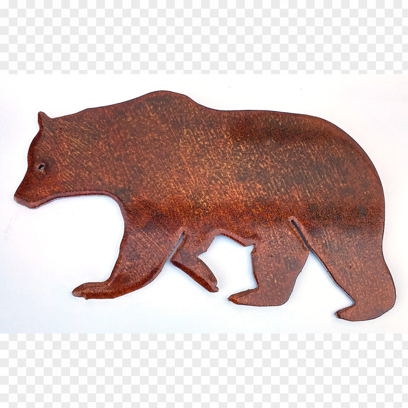 Black Bear American Grizzly Bigfoot Cover 3 Paradise Cay PNG