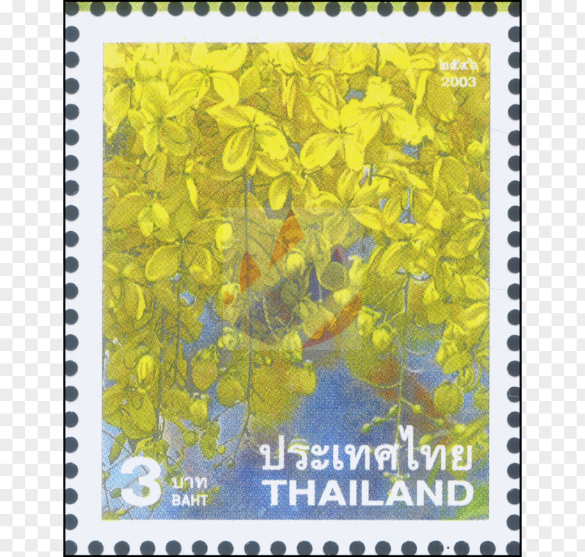 Cassia Fistula Postage Stamps Fauna Picture Frames Sunflower M Mail PNG