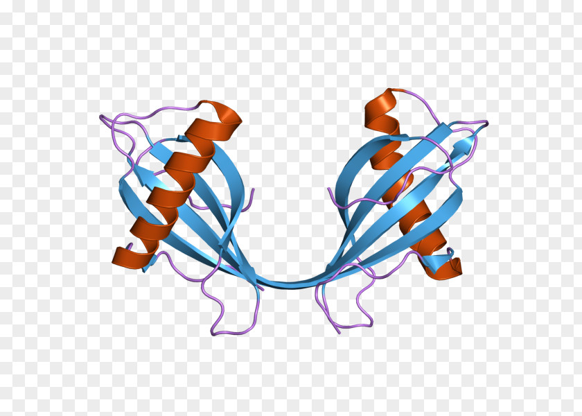 Cystatin B Protein Gene Dimer PNG