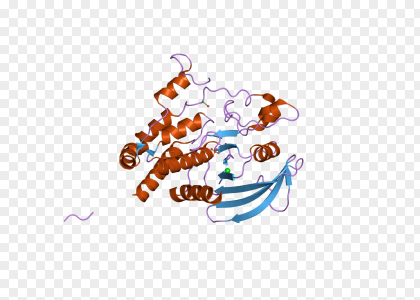 PTPRJ Protein Phosphatase Tyrosine Gene PNG