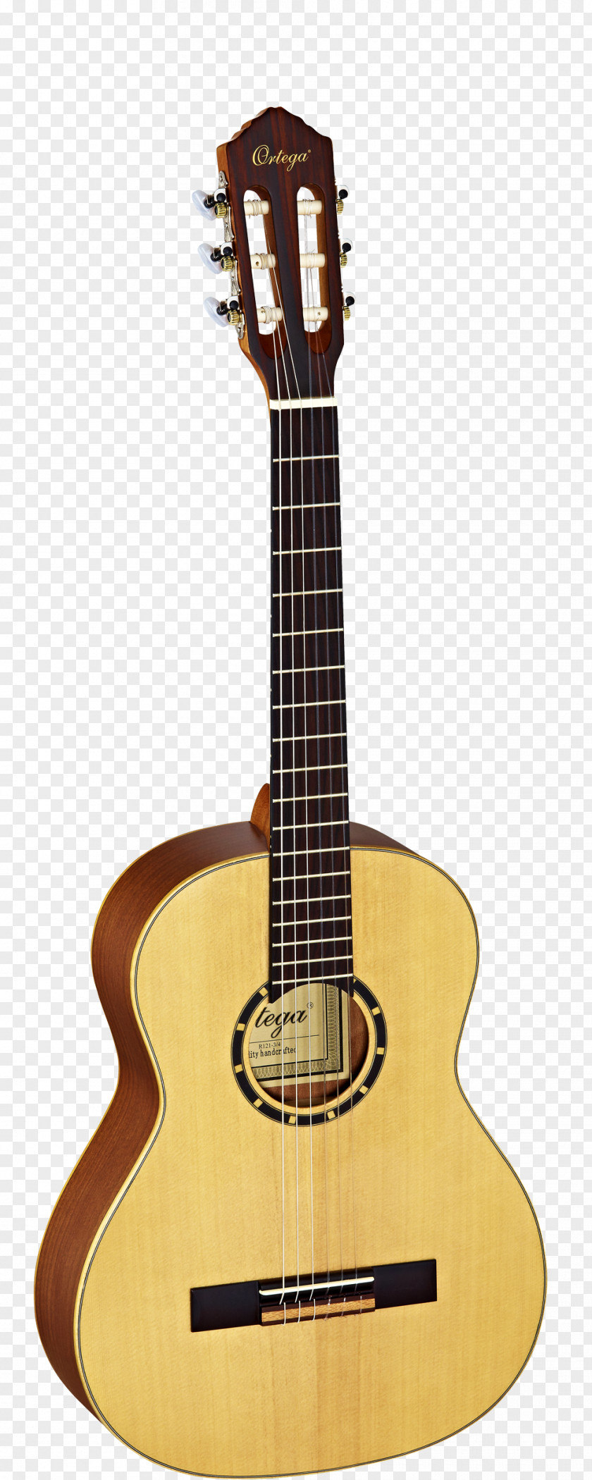 Amancio Ortega Classical Guitar Steel-string Acoustic Musical Instruments PNG