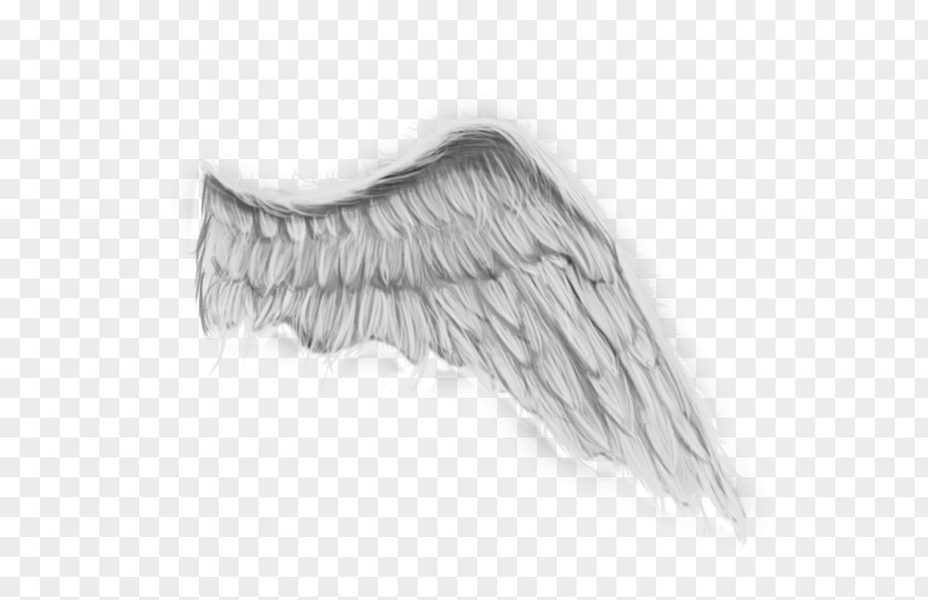Painting Angel Wing Drawing DeviantArt PNG