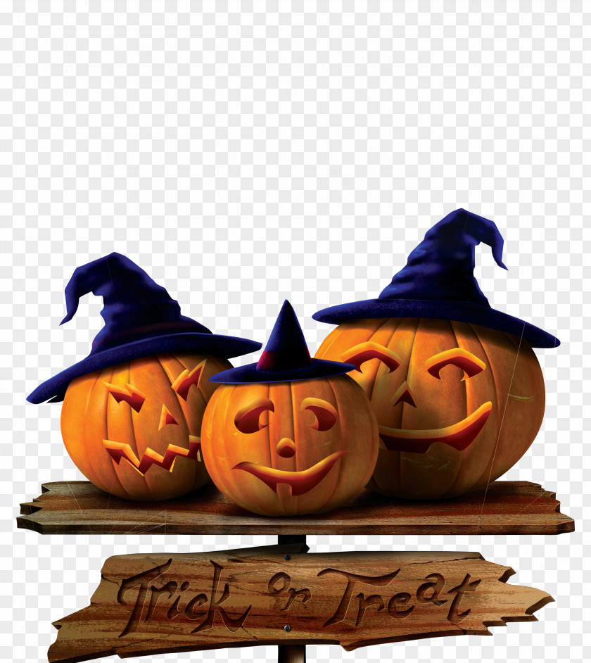 Pumpkin Halloween Trick-or-treating Jack-o-lantern Clip Art PNG