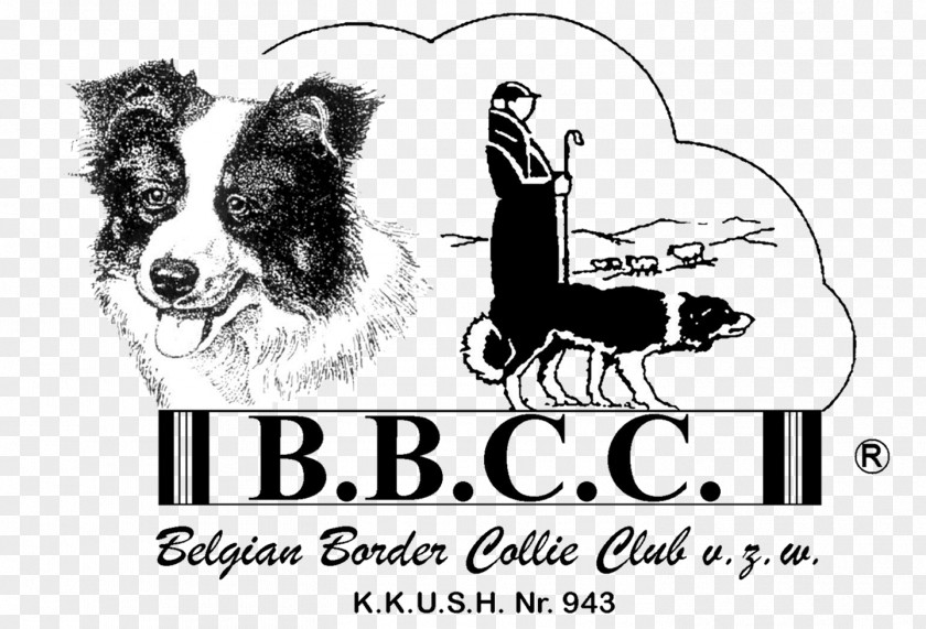 Puppy Dog Breed Belgian Border Collie Club Scotch PNG