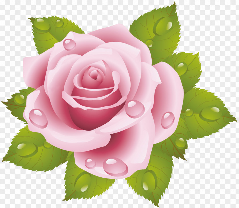 Rose Cross-stitch Pink Floral Design Flower PNG