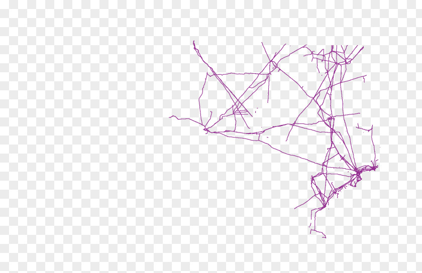 Design Product Drawing Line Pink M PNG