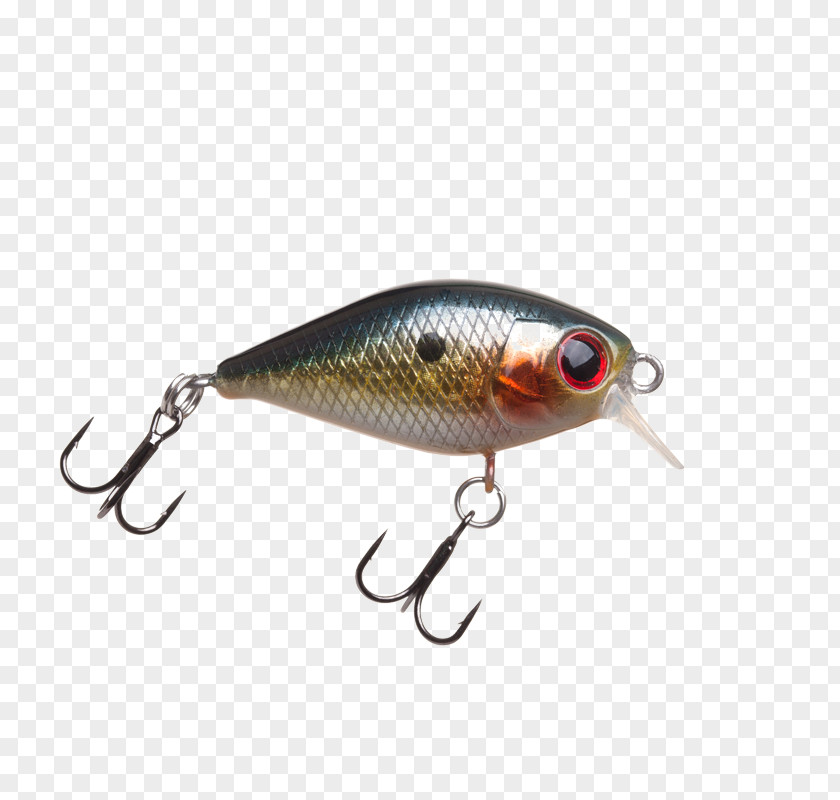 Float Blisters Spoon Lure Perch Fish AC Power Plugs And Sockets PNG