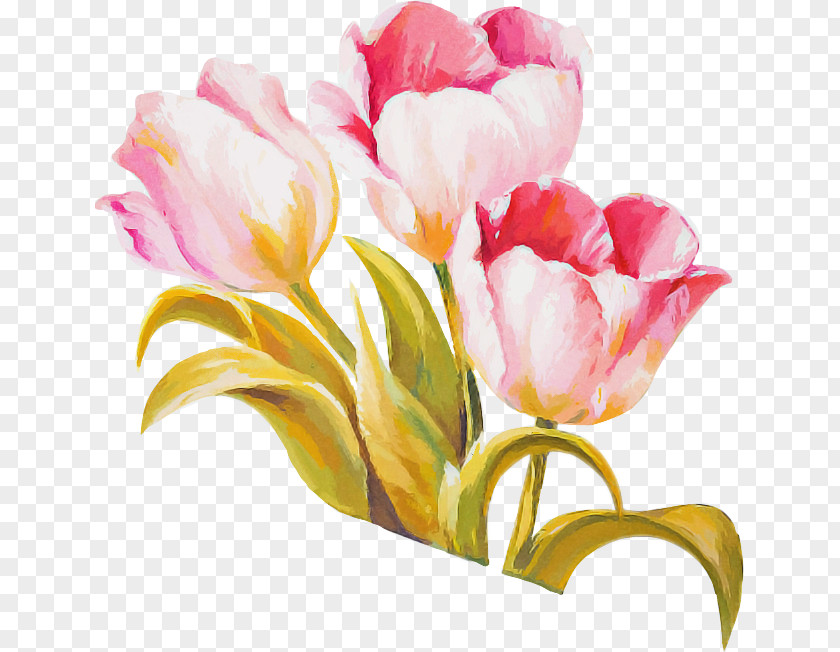 Flower Bouquet PNG