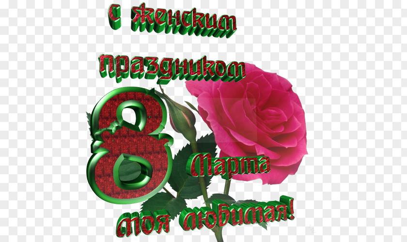 Garden Roses Odnoklassniki Text Holiday 8 March PNG