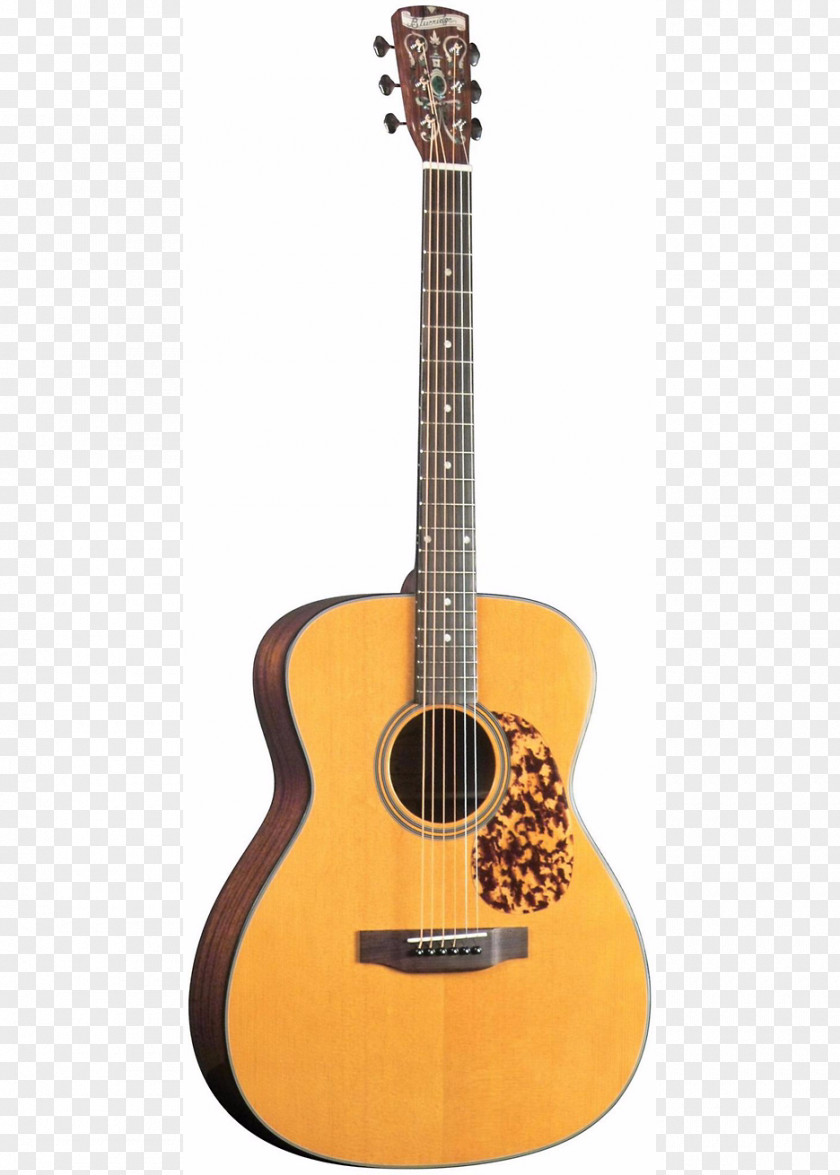 Guitar Alhambra Classical Acoustic C. F. Martin & Company PNG