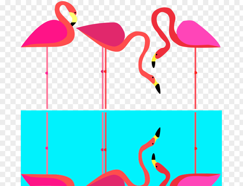 Illustrator Flyer Line Point Pink M Beak Clip Art PNG