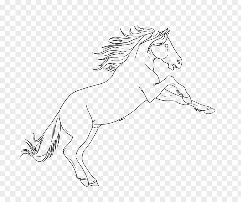 Mustang Brumby Pony Drawing Sketch PNG