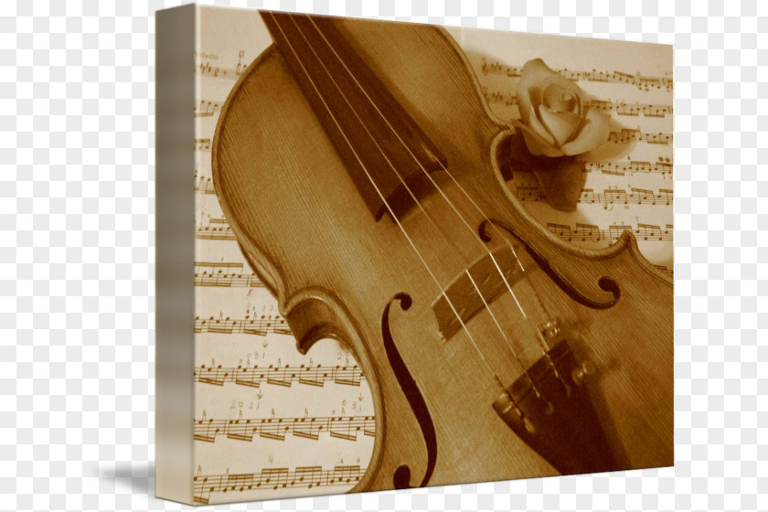 Rose Leslie Violin Musical Instruments String Cello PNG