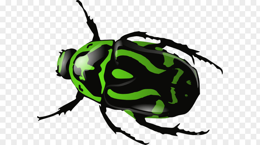 Beatles Cliparts Beetle Download Clip Art PNG