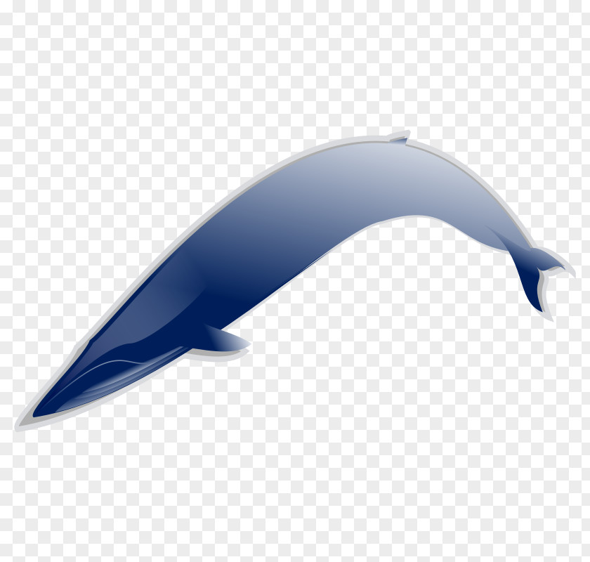 Blue Whale Clipart Download Clip Art PNG