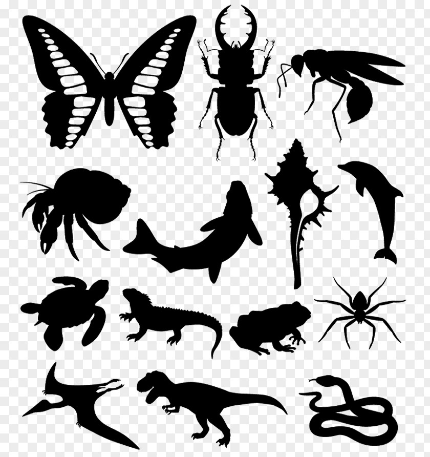 Butterfly Silhouette Insect PNG