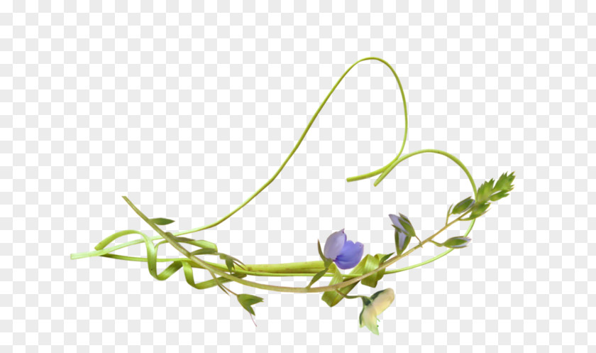 Leaf Floral Design Twig Plant Stem Petal PNG