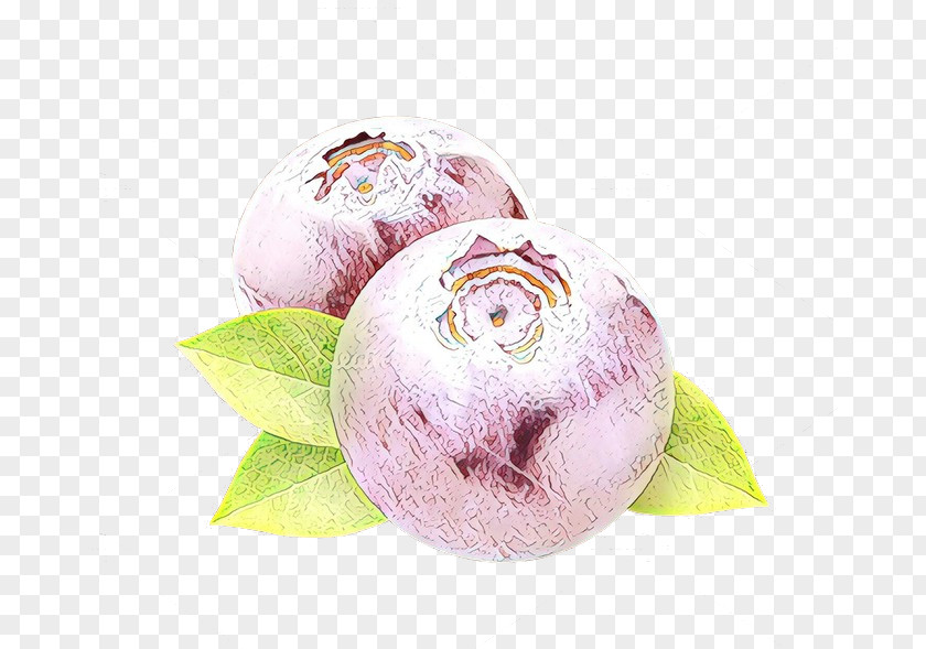 Pink Food Plant Turnip Vegetable PNG