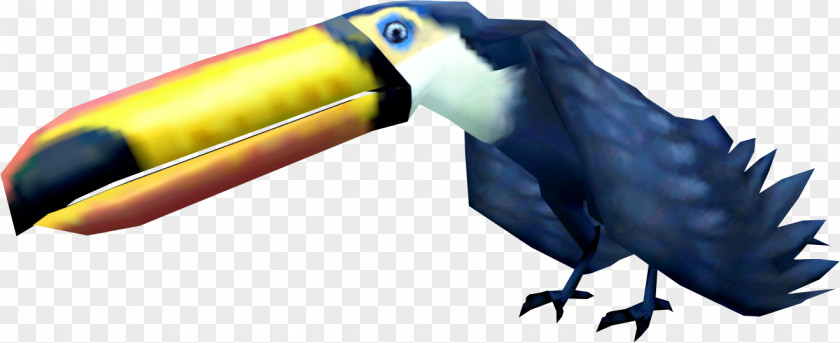 Toucan Bird Parrot Beak Macaw PNG