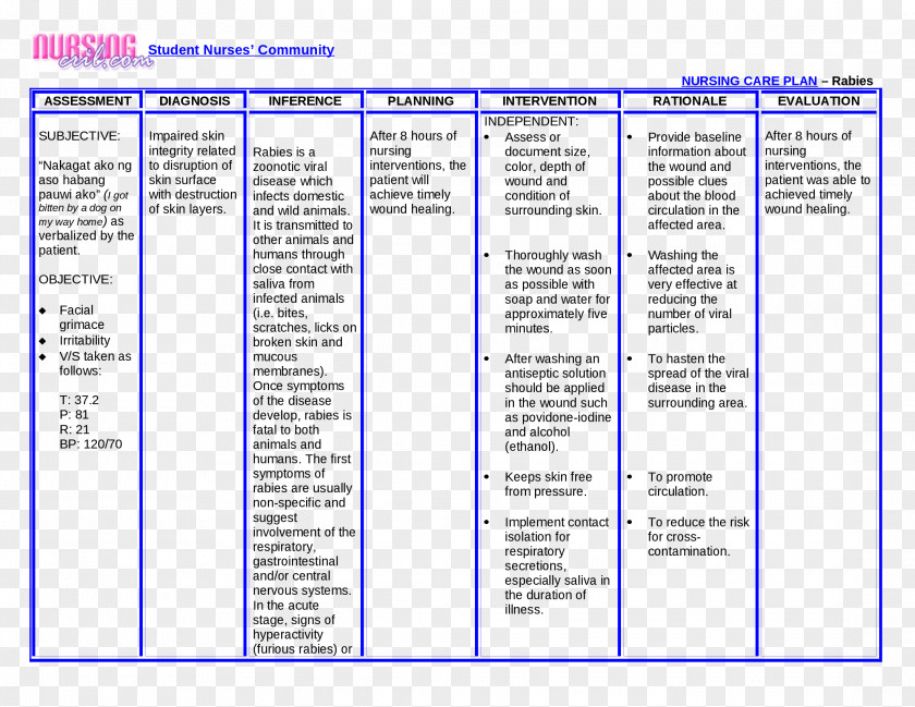 Wound Nursing Interventions Classification Care Plan Diagnosis NANDA PNG