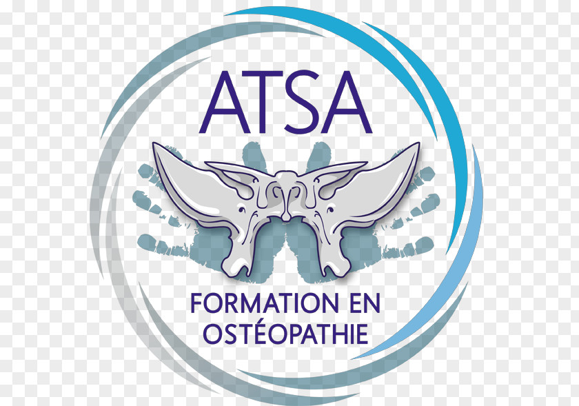 AtsaSchool Osteopathy School Still Academy Osteopathie Teacher At PNG