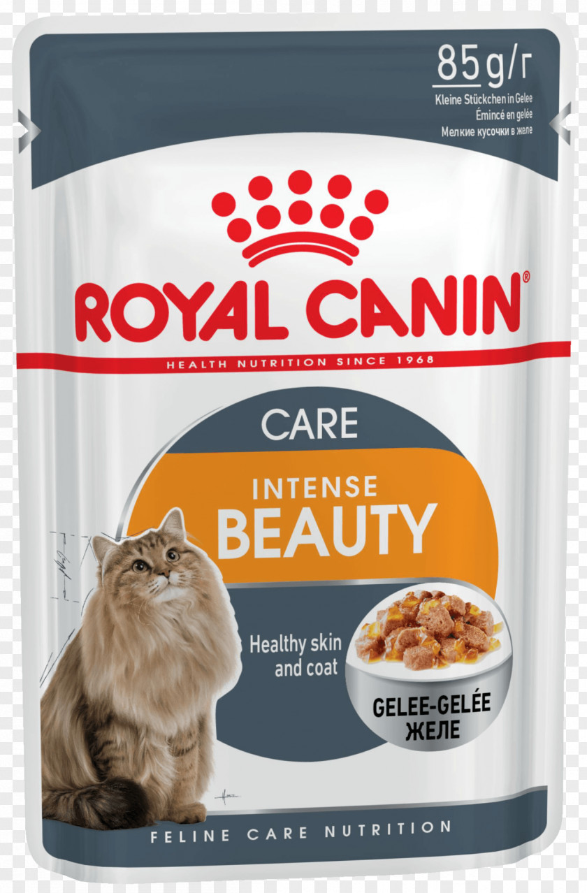 Dog Royal Canin Sensitive Digestion Dry Cat Food Maine Coon PNG