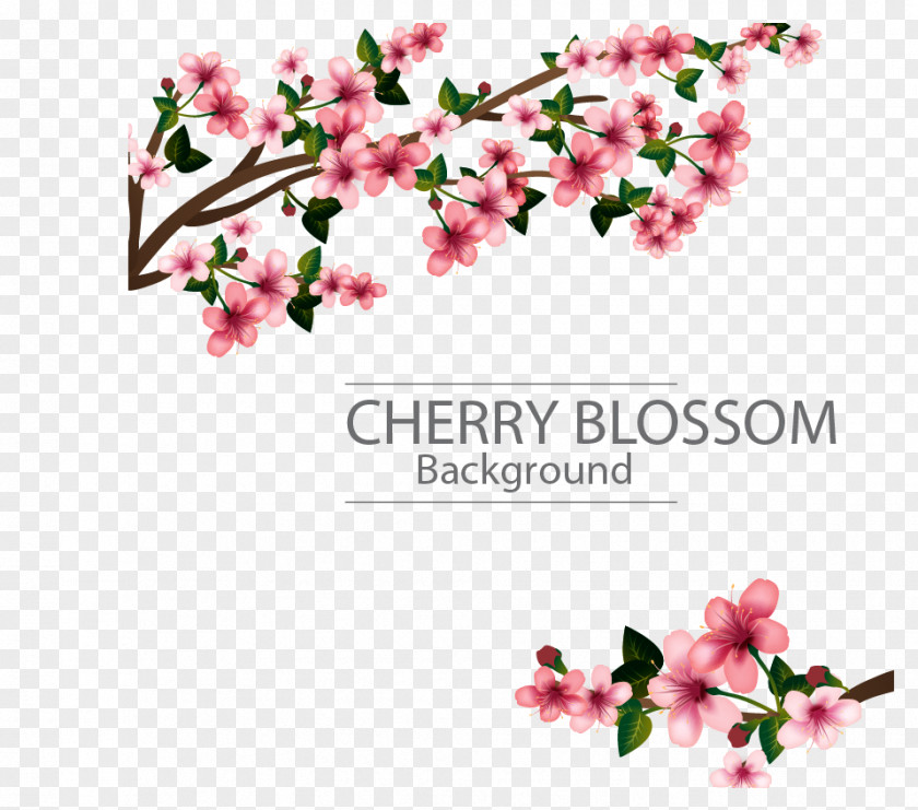 Plum Vector Template Software Microsoft Word Funeral Publisher PNG