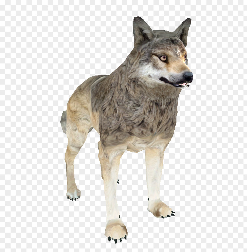 White Wolf Shivering Isles Saarloos Wolfdog Czechoslovakian The Elder Scrolls III: Morrowind Coyote PNG