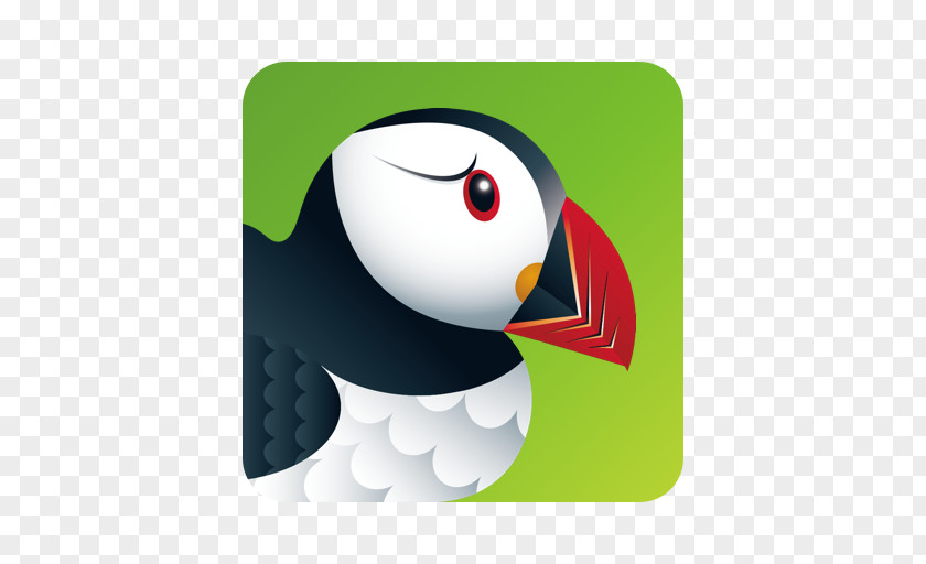 Android Puffin Browser Web Mobile PNG