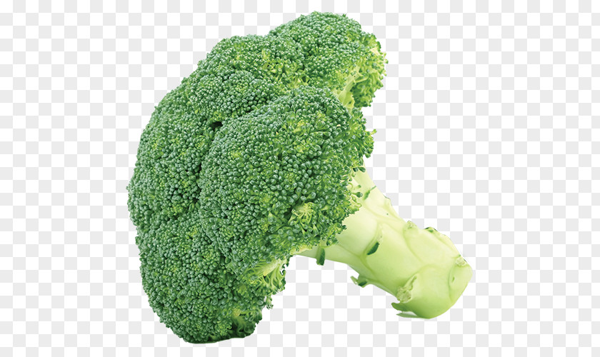 Broccoli Cabbage Vegetable Cauliflower Clip Art PNG