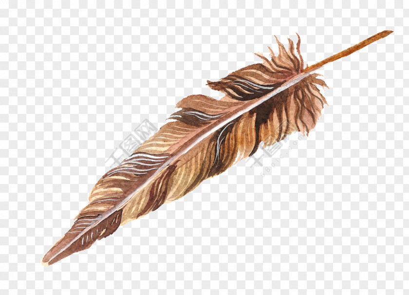 Browse Ornament Clip Art Feather Drawing Painting PNG