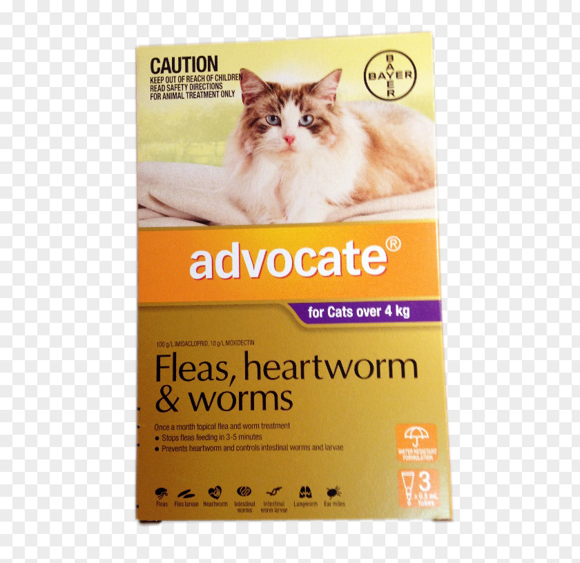 Cat Flea Food Kitten Dog Ear Mite PNG