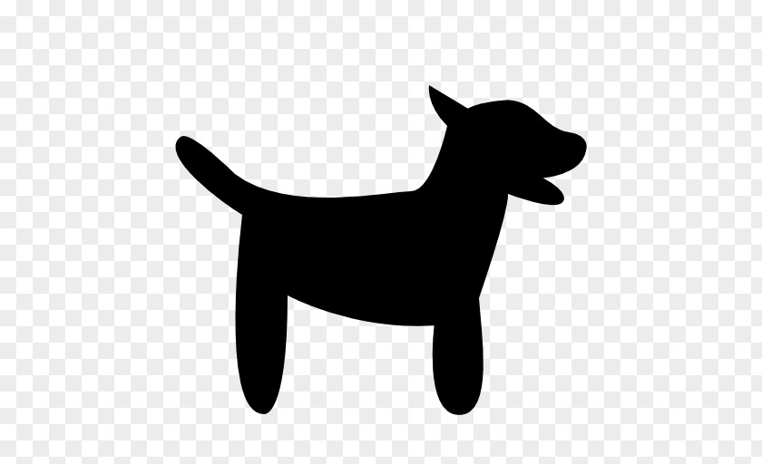 Dog Wearing Tie Puppy Pet Akita Jack Russell Terrier PNG