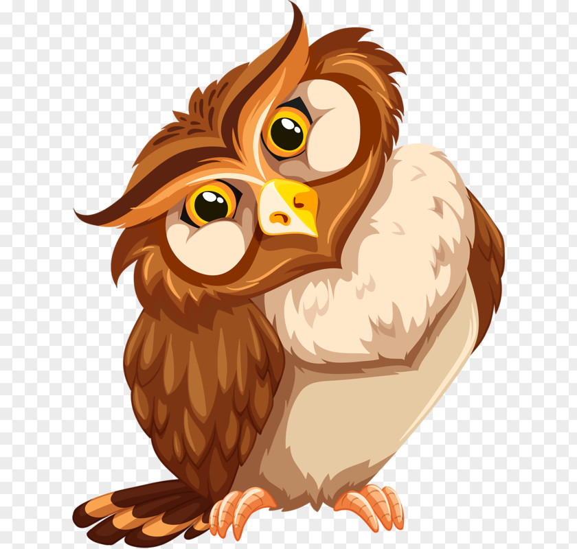 Hand-painted Owl Bird Royalty-free Illustration PNG