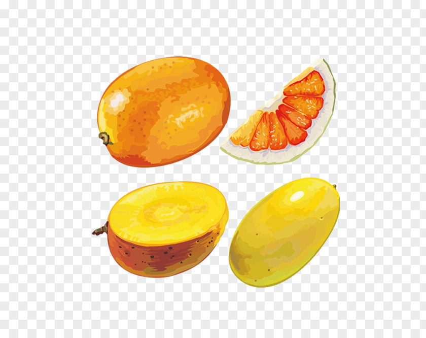 Melon Watercolor Cantaloupe Fruit Hami PNG