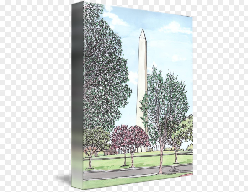 Washington Monument Tree Sky Plc PNG