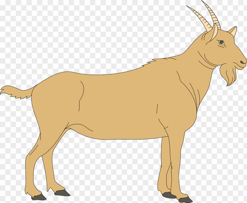 Yellow Goat Cattle Antelope Deer Sheep PNG
