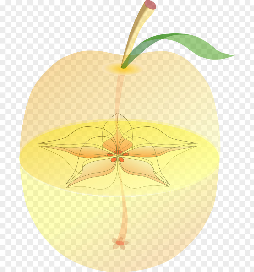 Apple Food Fruit Peach PNG
