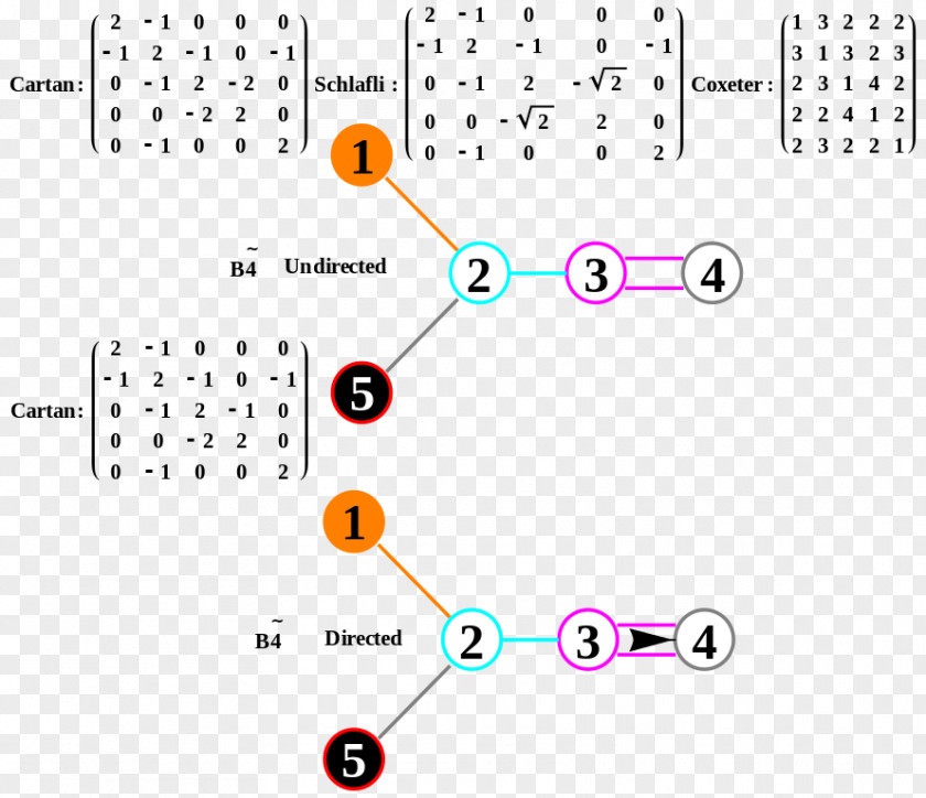 Binary Pattern Periodic Table Atomic Orbital Quantum Number Diagram Spherical Harmonics PNG