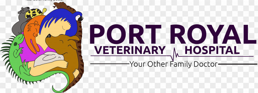 Dog Port Royal Veterinary Hospital Veterinarian Clinique Vétérinaire Pet PNG