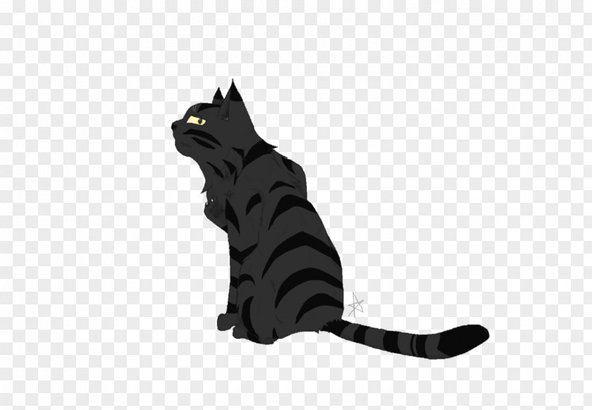 Kitten Black Cat Warriors Darkstripe PNG