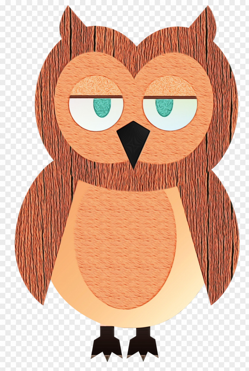 Owl Eastern Screech Cartoon Bird Of Prey PNG
